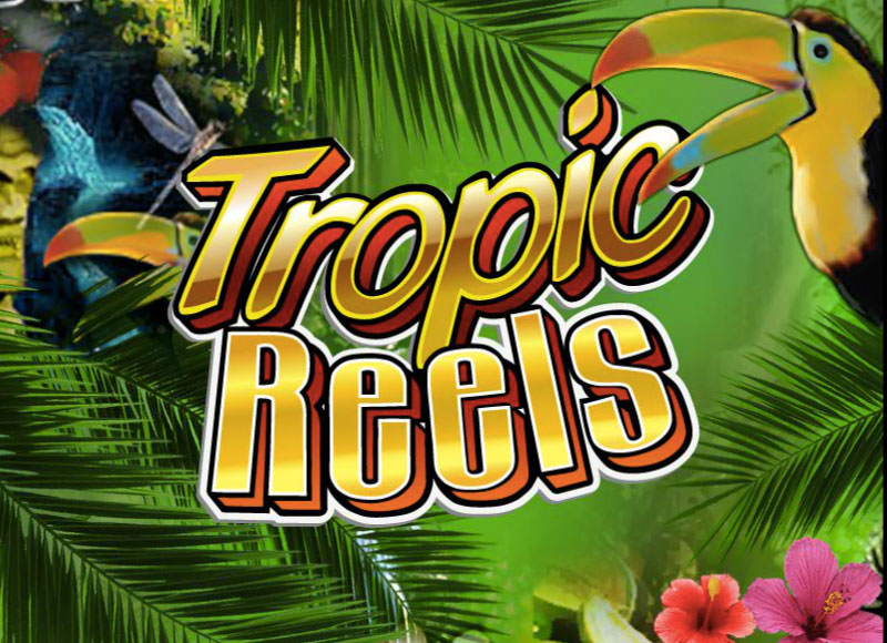 Тропический рай в видео автомате Tropic Reels в казино 777