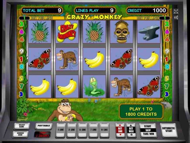 игровые автоматы обезьянки играть бесплатно с каской